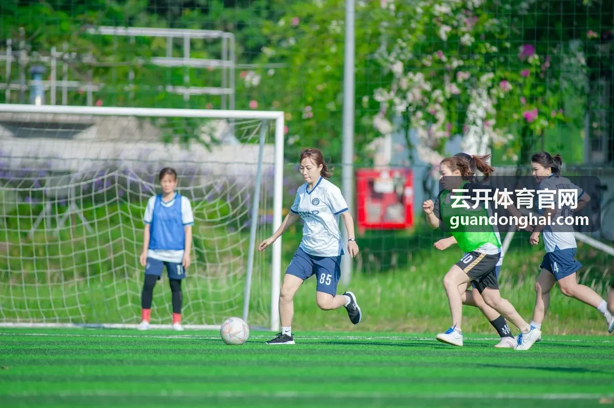 云开体育官网运动装备器材分类封面